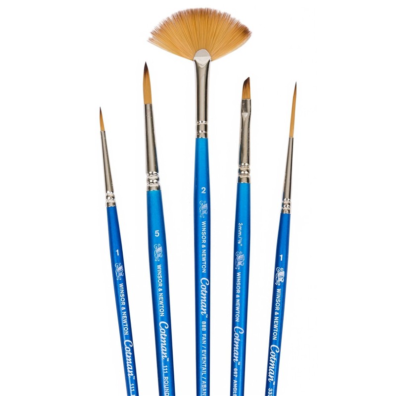 Winsor and Newton "Cotman" Brush Short Handle (Pack of 5)